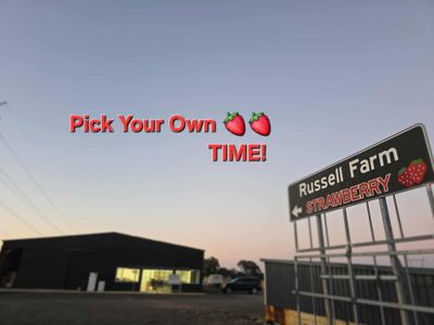 2:30PM PICK YOUR OWN PER CAR