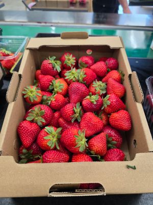 2kg Special Boxes Cabrillo 6.5/10 rating