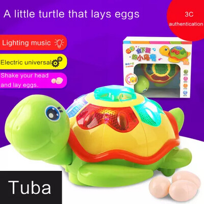 Funny Baby Lay Egg Tortoise