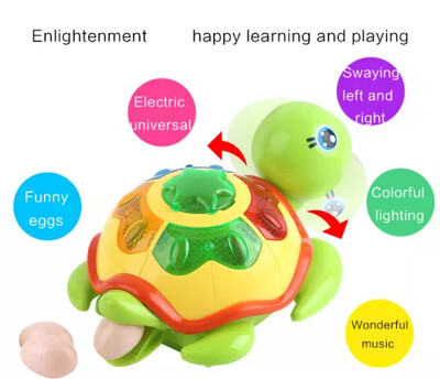 Funny Baby Lay Egg Tortoise