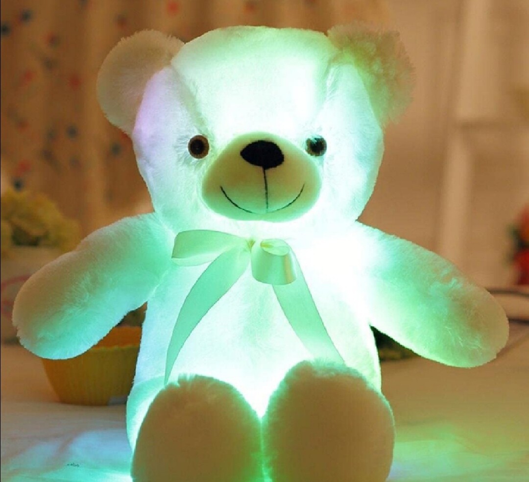Light Up bear