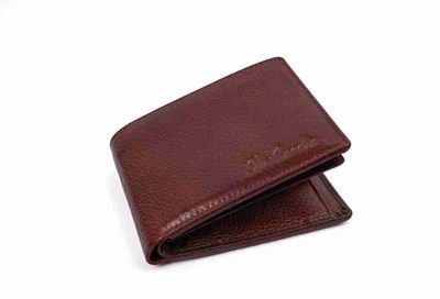 Brown Men's Wallet