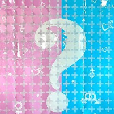 Gender Reveal Foil Curtain