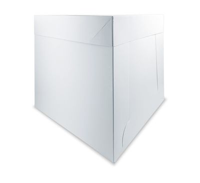 DPI Tall Cake Box (14x14x12inch)