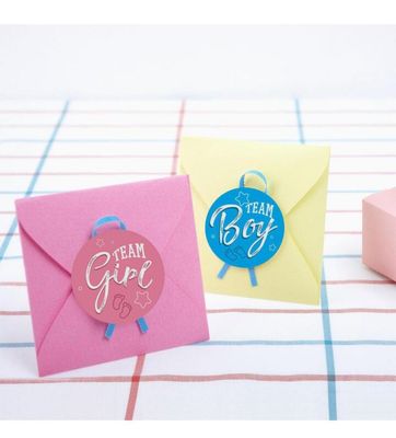Gender Reveal Boy or Girl Stickers Team