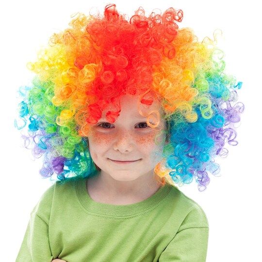 Rainbow Afro Party Wig