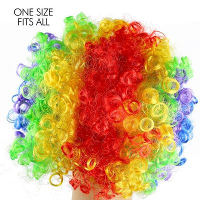 Rainbow Afro Party Wig