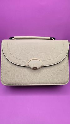 Light Grey Classic Crossbody Bag