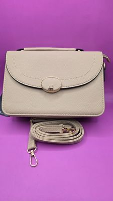 Light Grey Classic Crossbody Bag