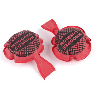 Kids toys Whopee Cushion (2 Pack)