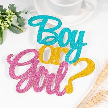 Gender Reveal Party Boy or Girl Glitter Sign