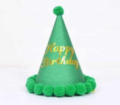 Green Pom Pom Happy Birthday Hat