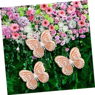 3D Butterfly Wall Decoration