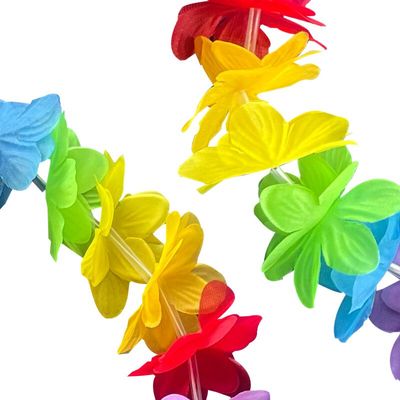 Rainbow Colour Lei