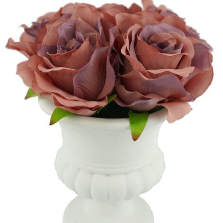 Potted Urn Rose 20cm