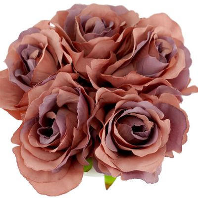 Potted Urn Rose 20cm