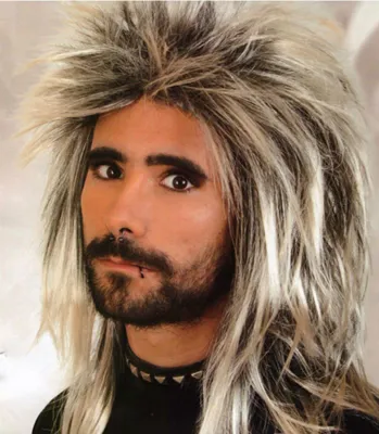 Rock n Roll Style Party Wig (Black &amp; Blonde)