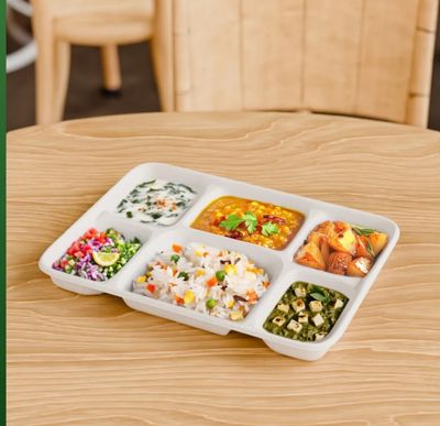 Sugarcane Plate-6 Compartment Deep Tray