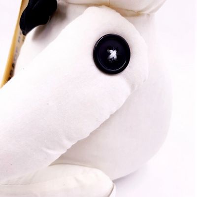 Graduation Message Bear
