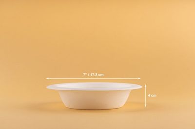 Sugarcane Disposable Bowls