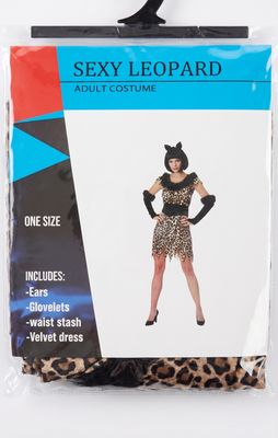Women's Sexy Leopard Costume