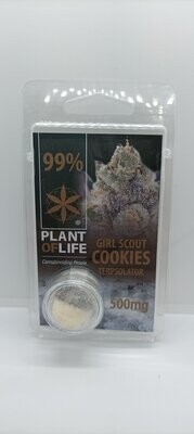 Terpsolator CBD 99% Girl Scout Cookies 500mg