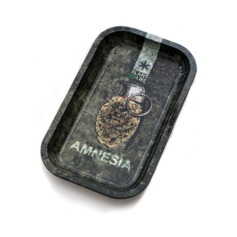BANDEJA AMNESIA 2 Tamaños A Elegir
