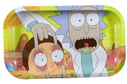 Bandeja Rick & Morty 27x16 CM