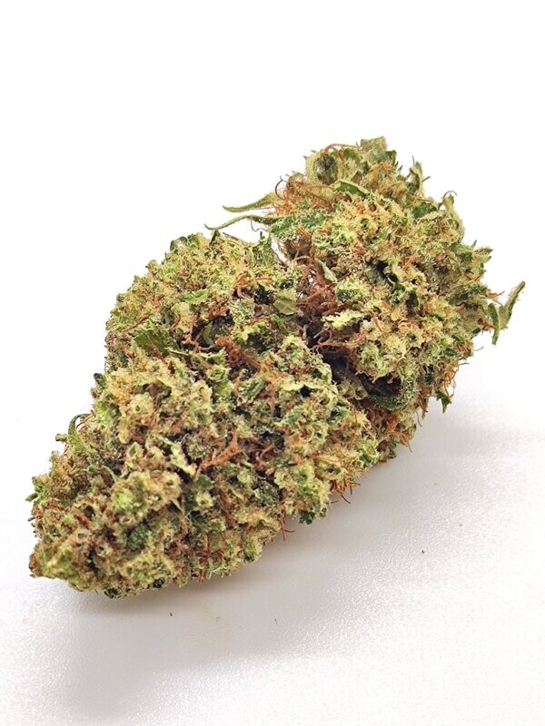 Gelato
