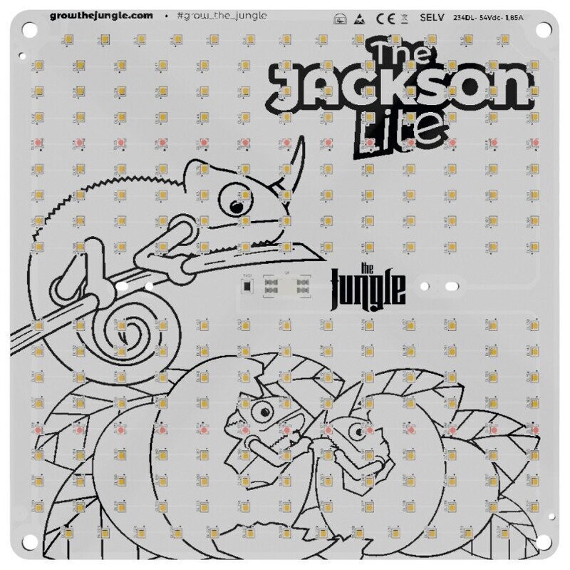 The Jackson Lite 100W