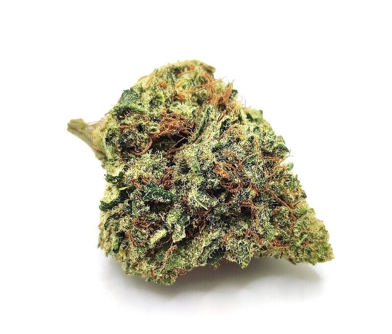 Gelato #41