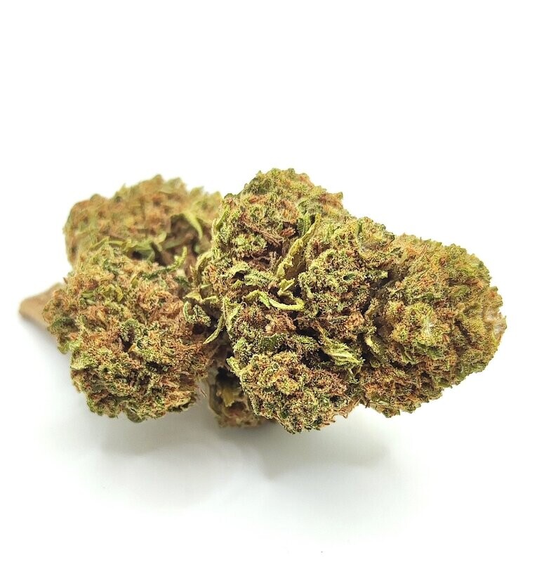 White Shark