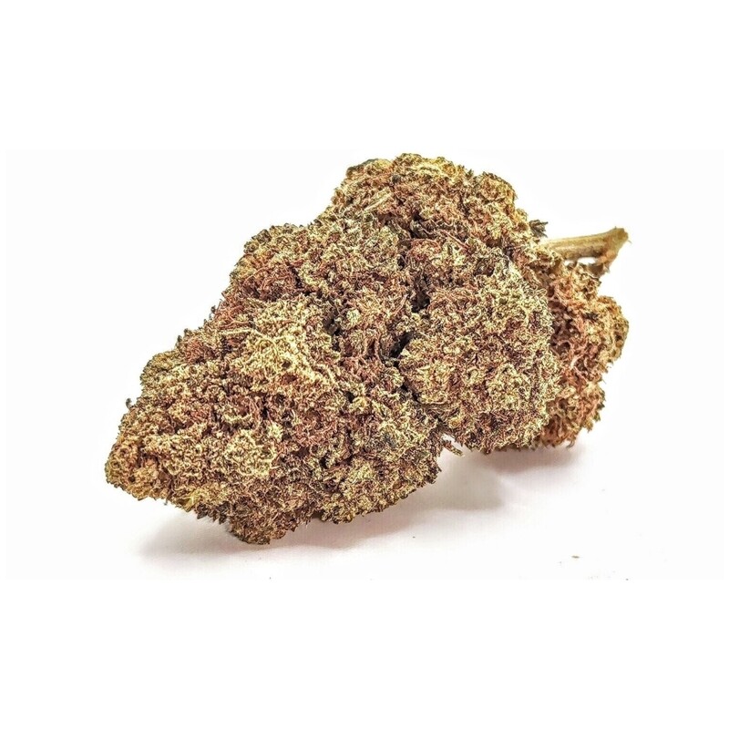 Mimosa EVO