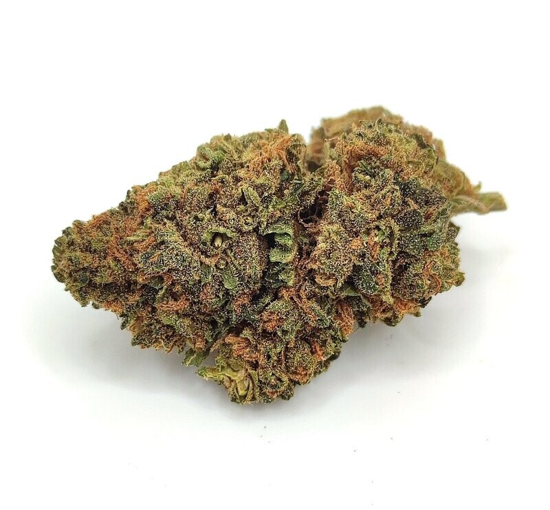 G - 13
