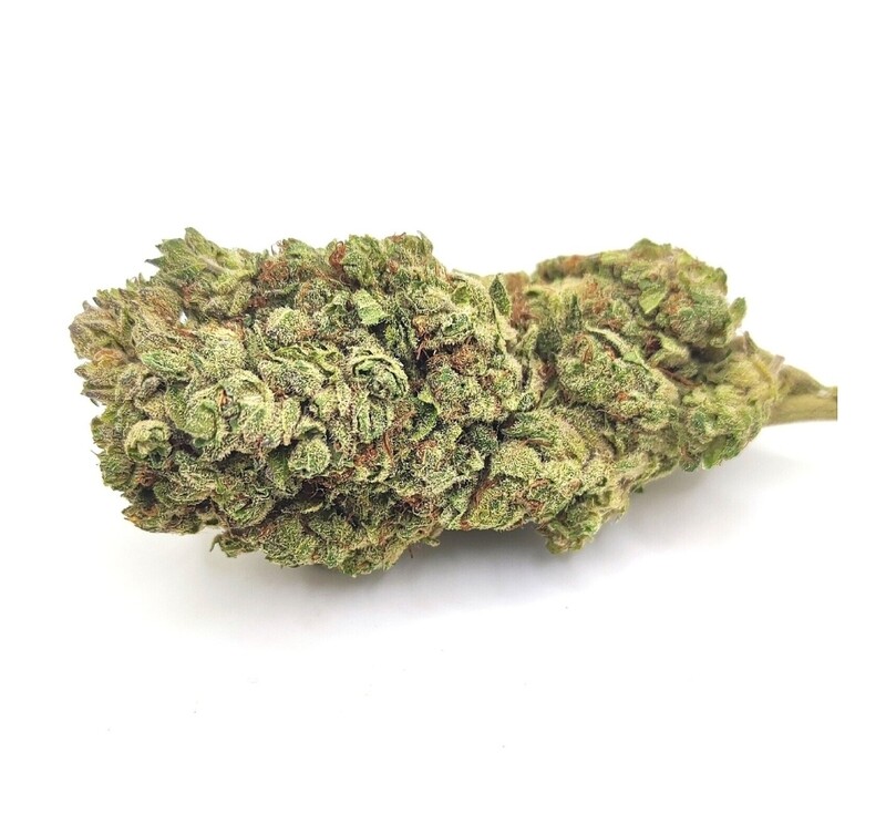 Chocolope