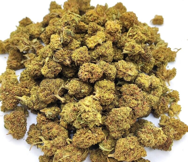 Medium Buds Mimosa Evo