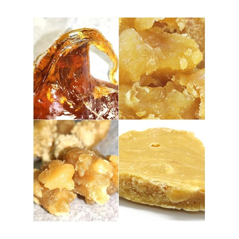 Pack Catador Extract 5GR