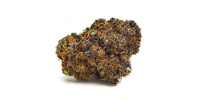 Space Purple