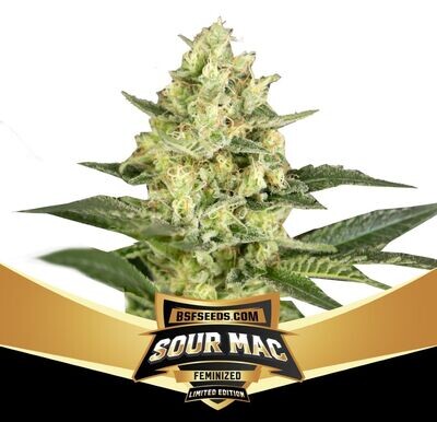 SOUR MAC (X2) LIMITED EDITION