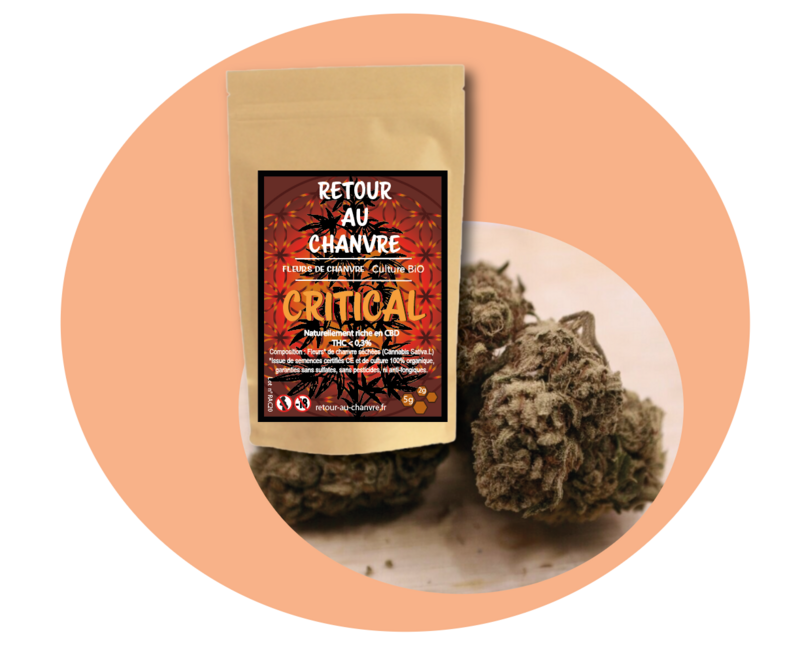CRITICAL