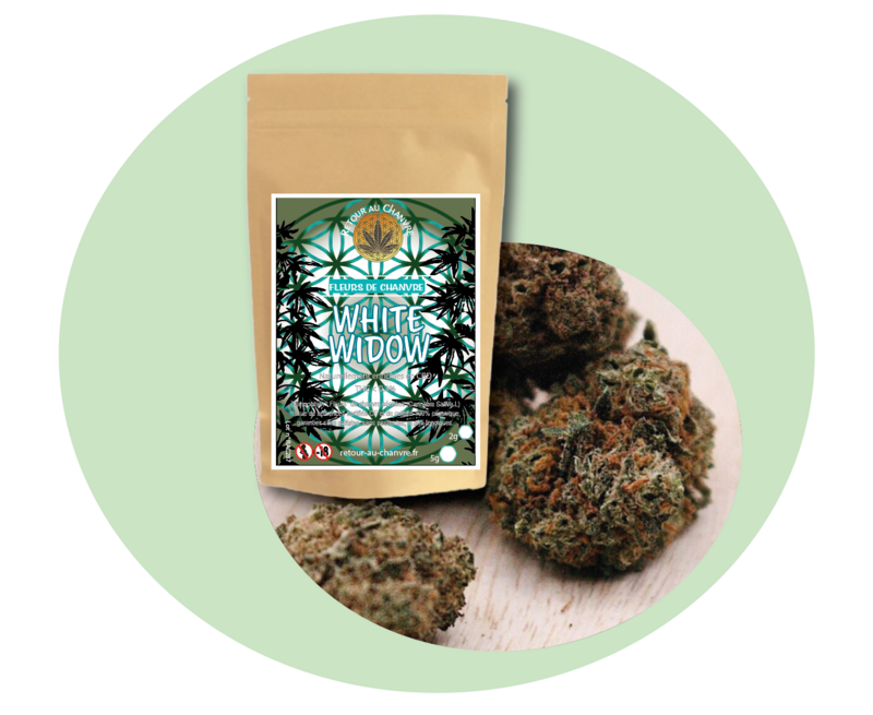 WHITE WIDOW