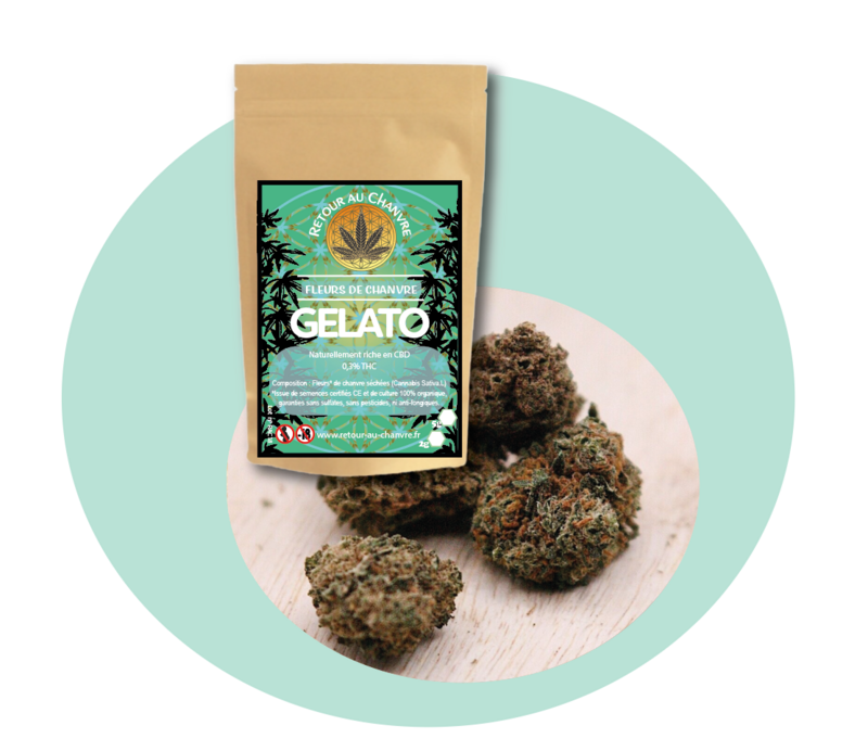 GELATO