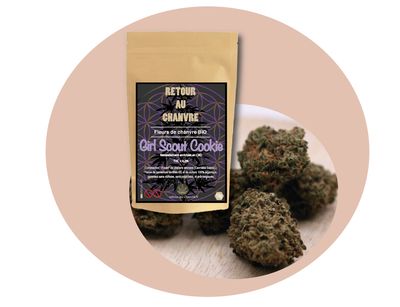 GIRL SCOUT COOKIE