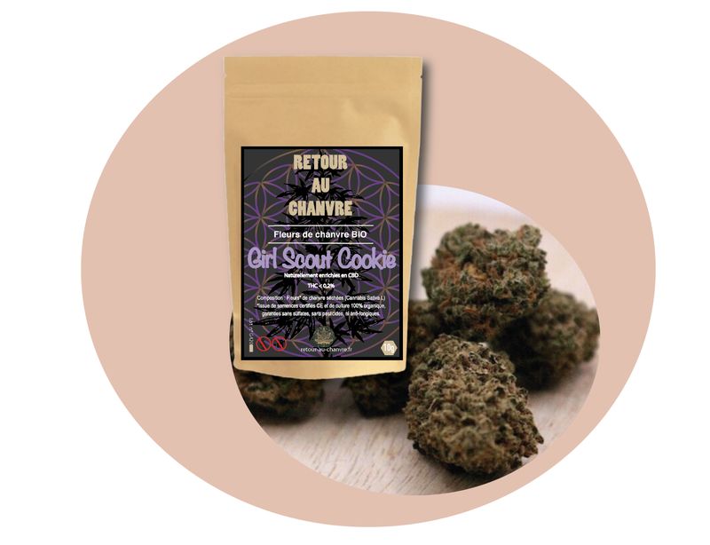 GIRL SCOUT COOKIE GIRL SCOUT COOKIE