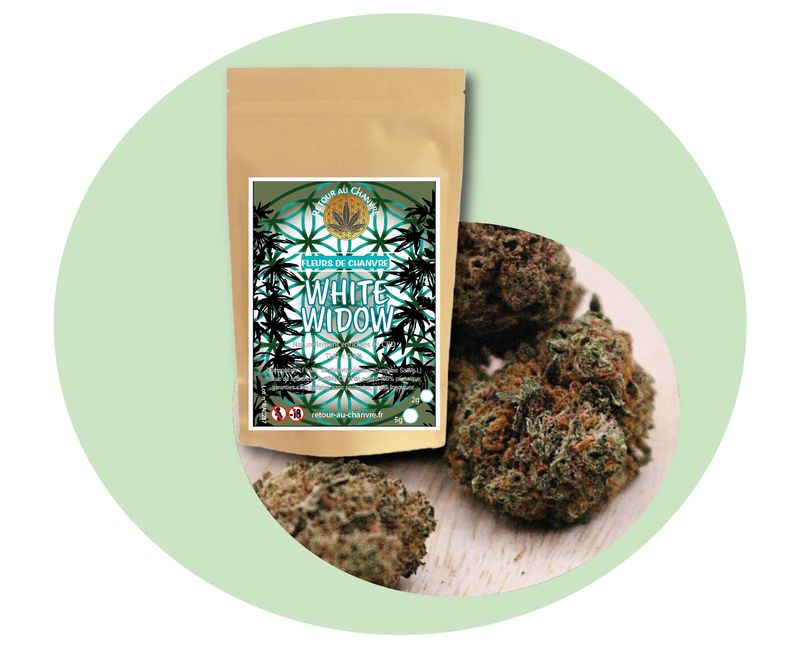 WHITE WIDOW WHITE WIDOW