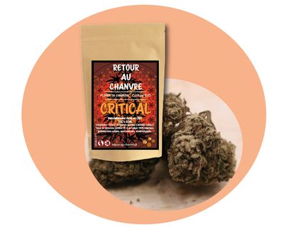 CRITICAL CRITICAL