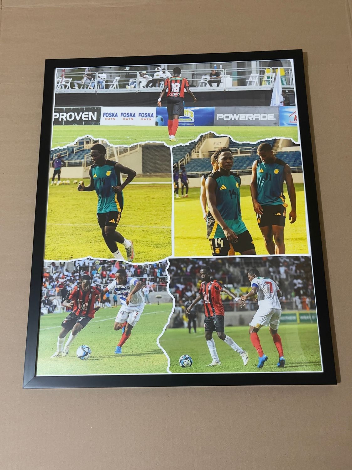 Custom picture frame 16x20 (PHOTO ONLY)