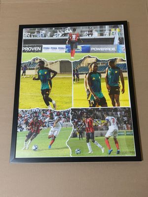 Custom picture frame 16x20 (PHOTO ONLY)