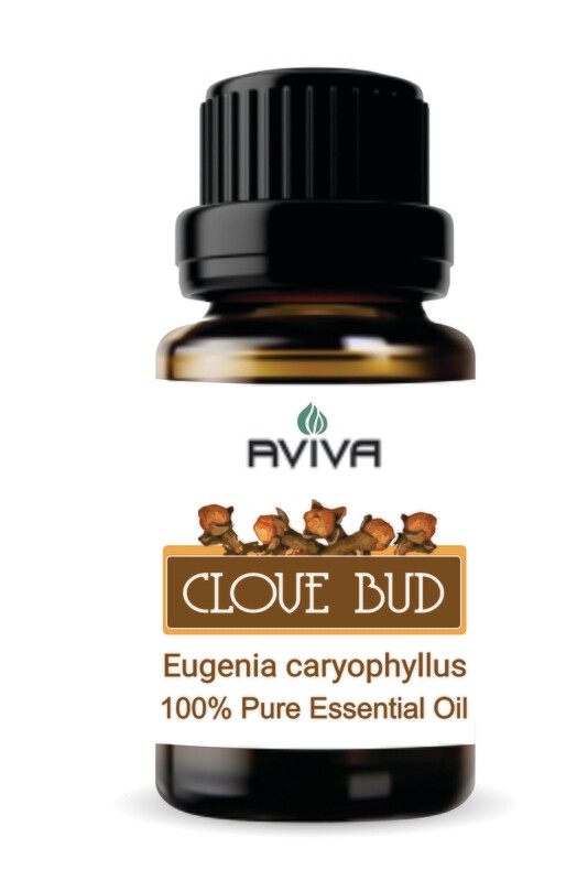 Clove Bud
