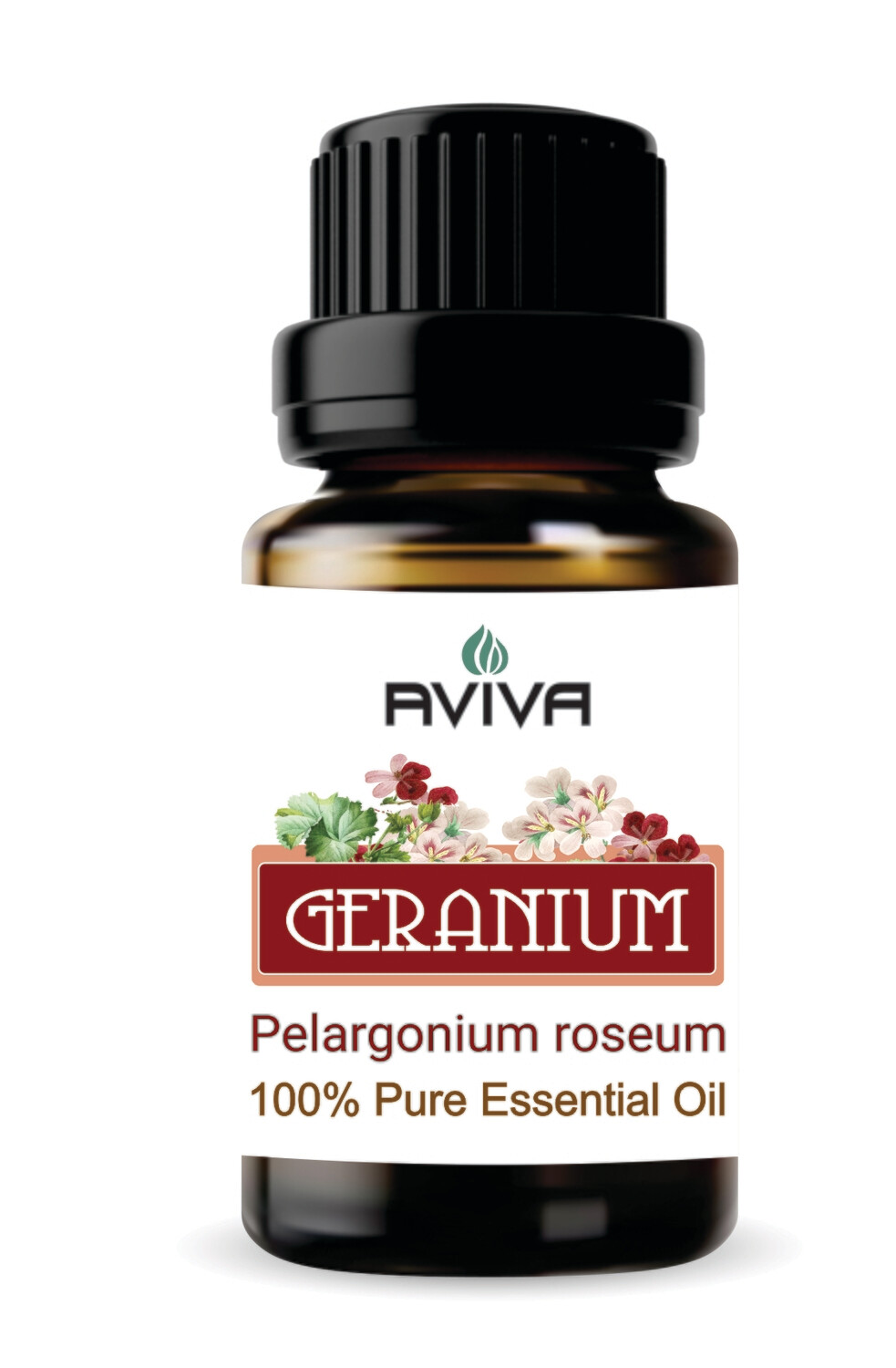 Geranium